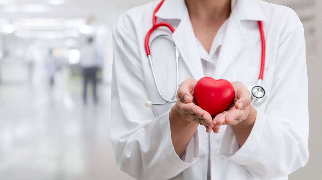 A doctor holds a plastic red heart in their hands at a hospital